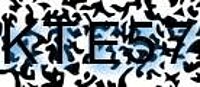 grafischer Sicherheitscode