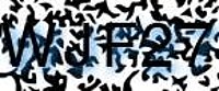 grafischer Sicherheitscode