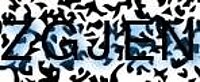 grafischer Sicherheitscode