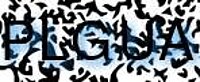 grafischer Sicherheitscode