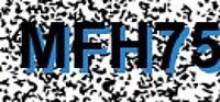 grafischer Sicherheitscode