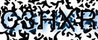 grafischer Sicherheitscode