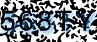 grafischer Sicherheitscode
