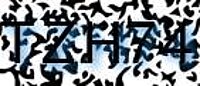 grafischer Sicherheitscode
