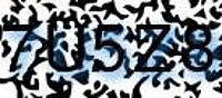 grafischer Sicherheitscode