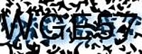 grafischer Sicherheitscode