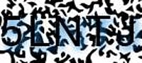 grafischer Sicherheitscode