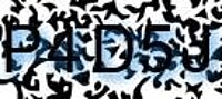 grafischer Sicherheitscode