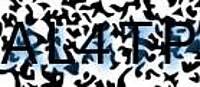 grafischer Sicherheitscode