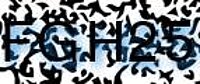 grafischer Sicherheitscode