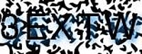 grafischer Sicherheitscode