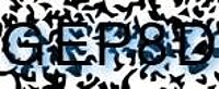grafischer Sicherheitscode