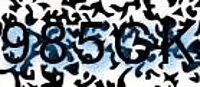 grafischer Sicherheitscode
