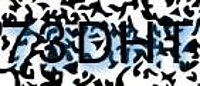 grafischer Sicherheitscode