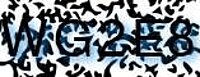 grafischer Sicherheitscode