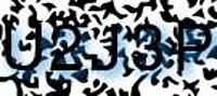 grafischer Sicherheitscode