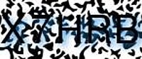 grafischer Sicherheitscode